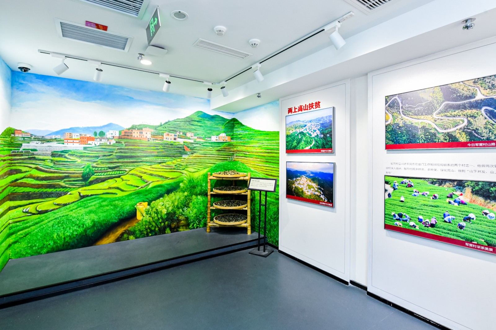 15“习近平在厦门”之“两上高山扶贫”展区.JPG